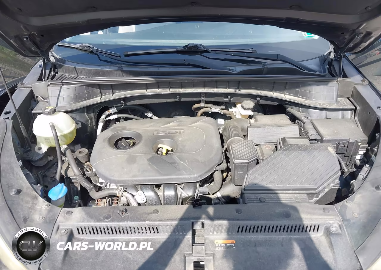 2016 Hyundai Tucson Se VIN:KM8J3CA42GU060116 - 10