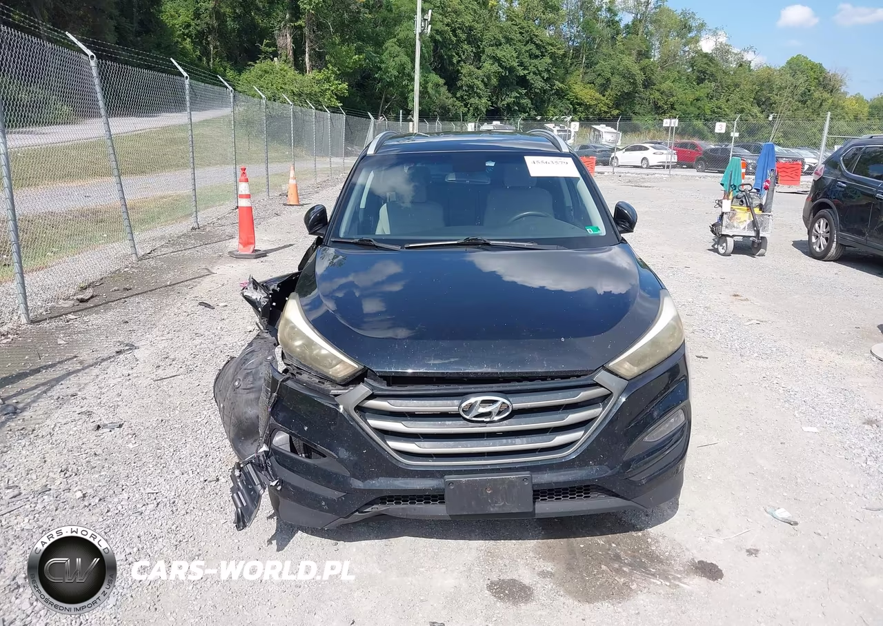2016 Hyundai Tucson Se VIN:KM8J3CA42GU060116 - 12