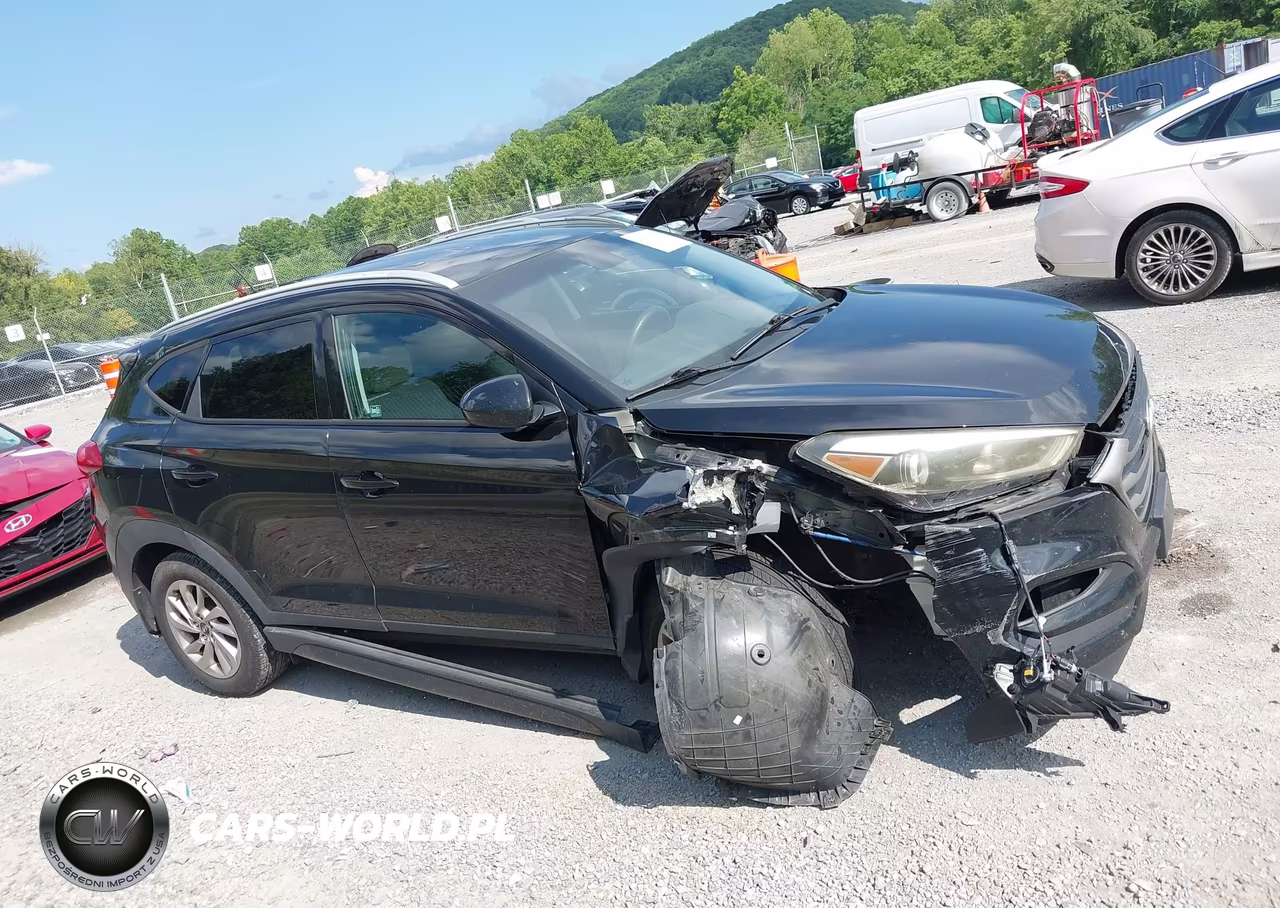 2016 Hyundai Tucson Se VIN:KM8J3CA42GU060116 - 13