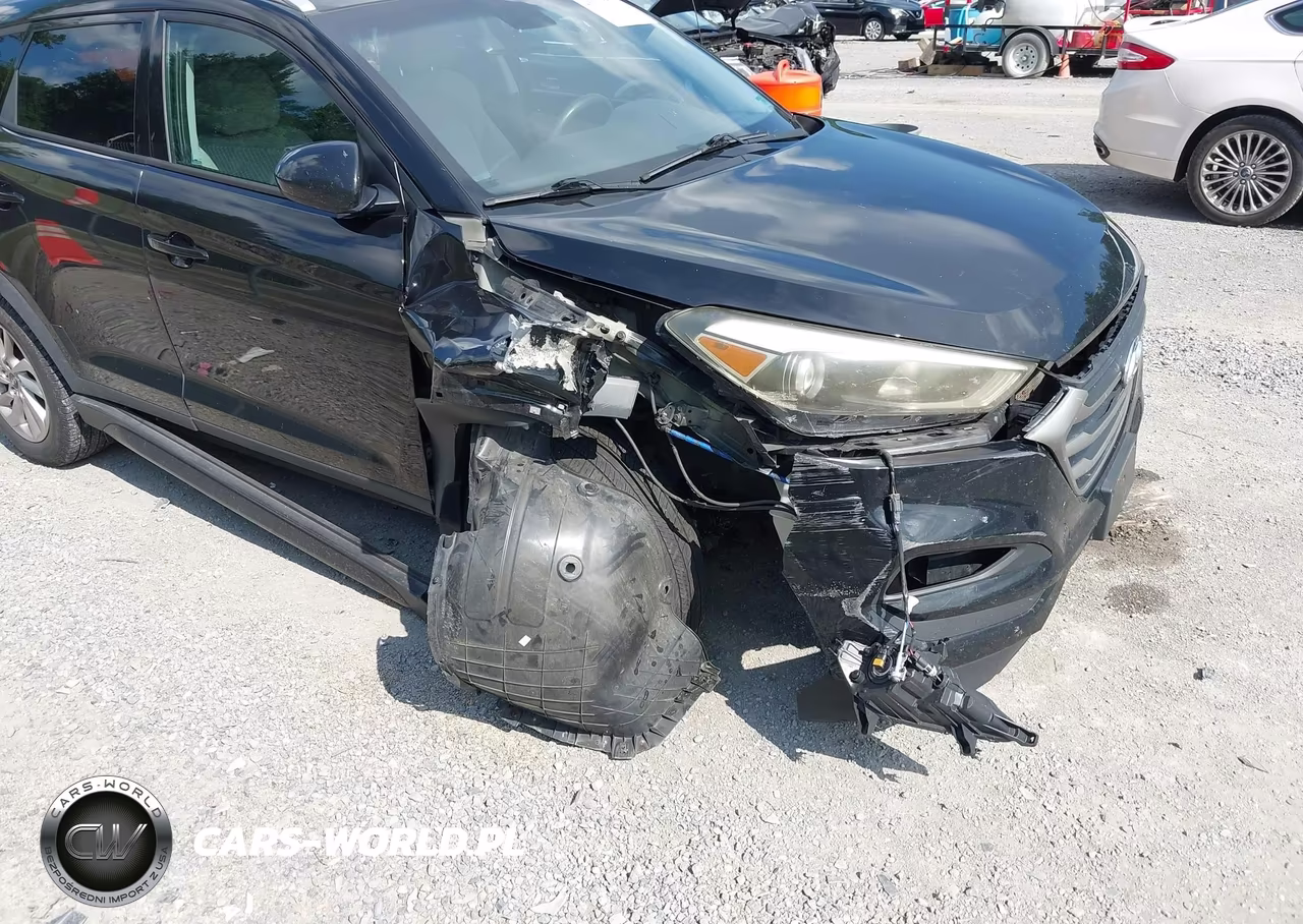 2016 Hyundai Tucson Se VIN:KM8J3CA42GU060116 - 6