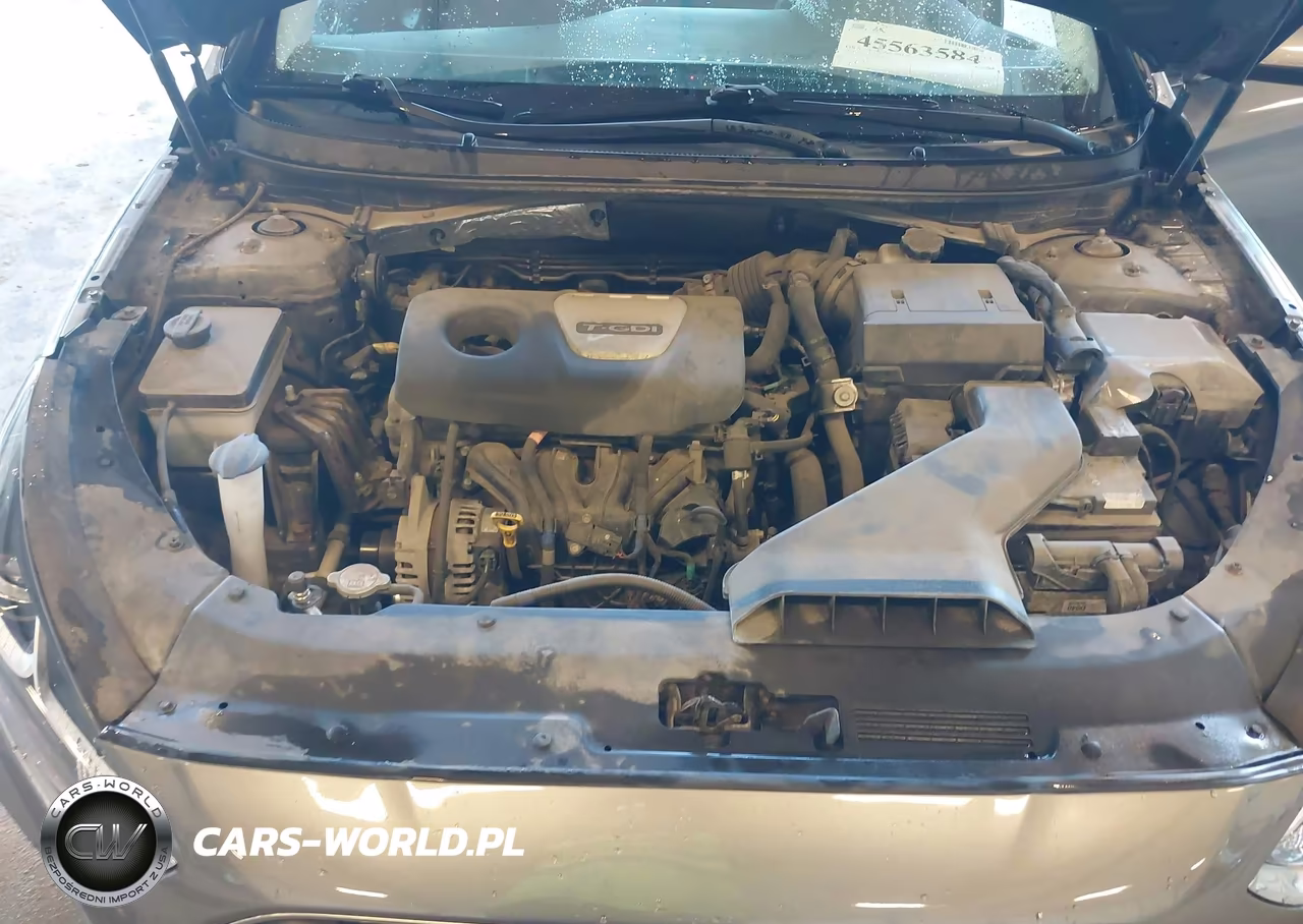 2019 Hyundai Sonata Eco VIN:5NPE24AA9KH801160 - 10