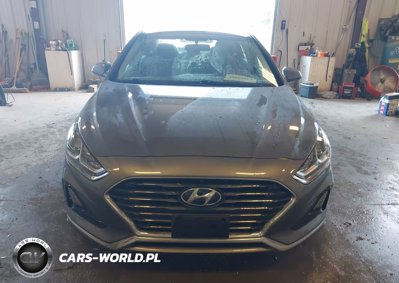 2019 Hyundai Sonata Eco VIN:5NPE24AA9KH801160 - 17
