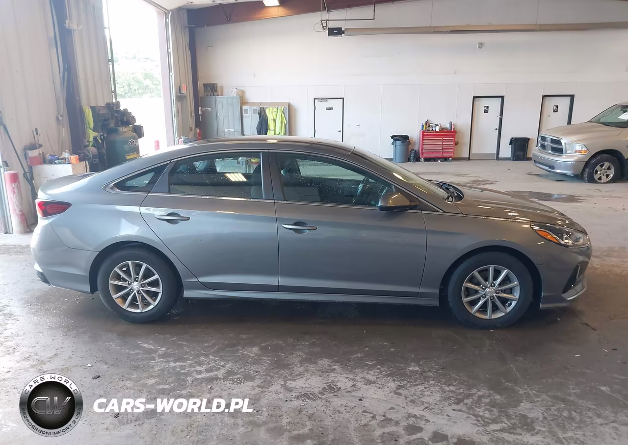 2019 Hyundai Sonata Eco VIN:5NPE24AA9KH801160 - 18