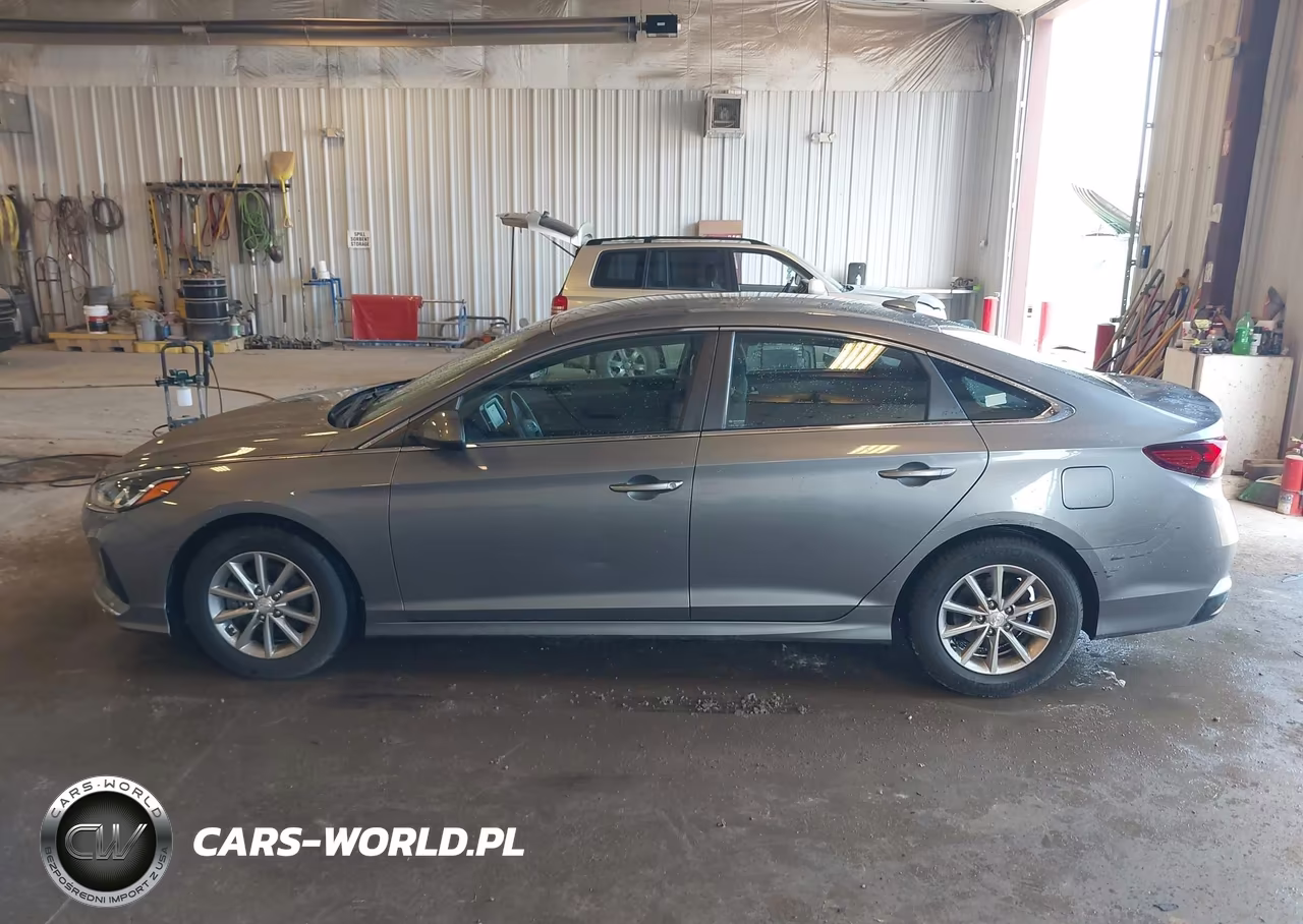 2019 Hyundai Sonata Eco VIN:5NPE24AA9KH801160 - 19