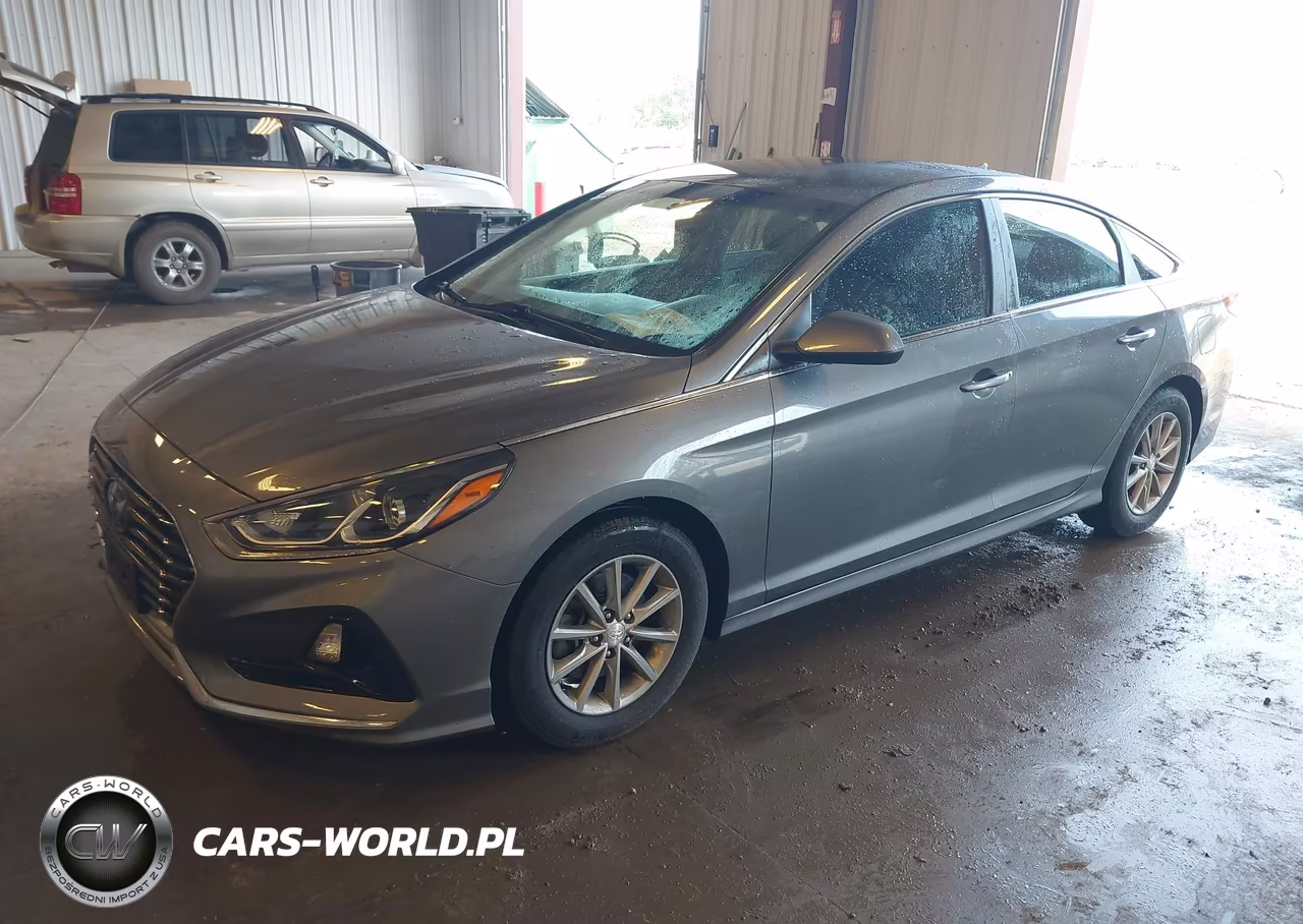 2019 Hyundai Sonata Eco VIN:5NPE24AA9KH801160 - 2