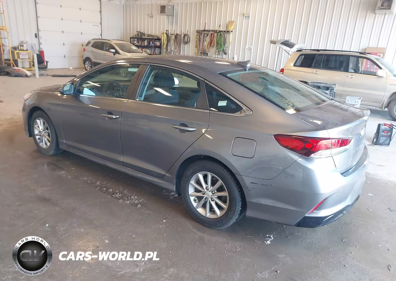 2019 Hyundai Sonata Eco VIN:5NPE24AA9KH801160 - 3