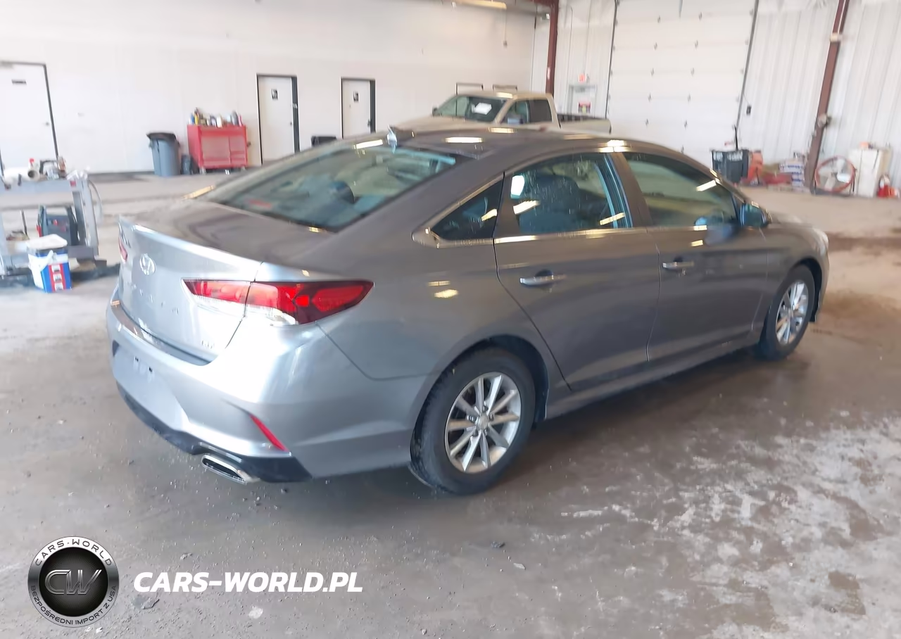 2019 Hyundai Sonata Eco VIN:5NPE24AA9KH801160 - 4