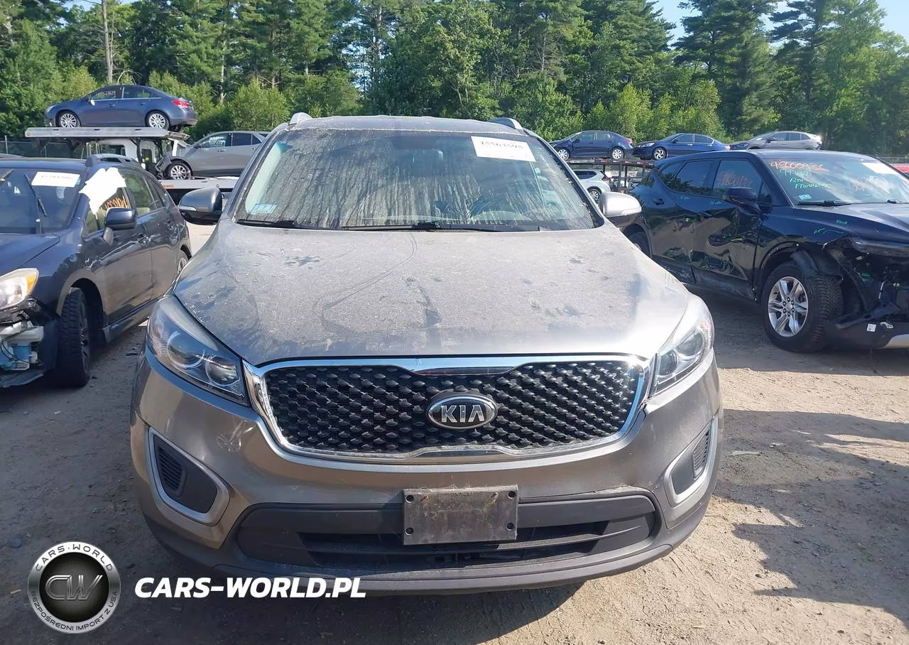 2017 Kia Sorento 3.3L Lx VIN:5XYPGDA53HG197327 - 13