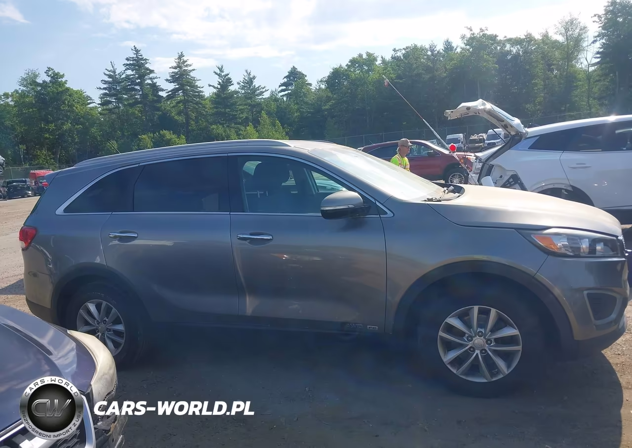 2017 Kia Sorento 3.3L Lx VIN:5XYPGDA53HG197327 - 14