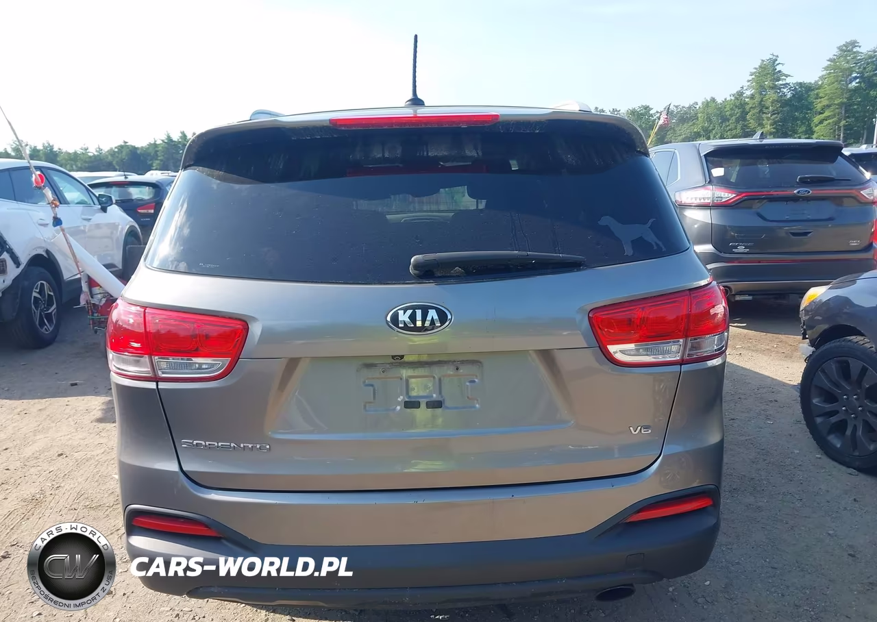 2017 Kia Sorento 3.3L Lx VIN:5XYPGDA53HG197327 - 17