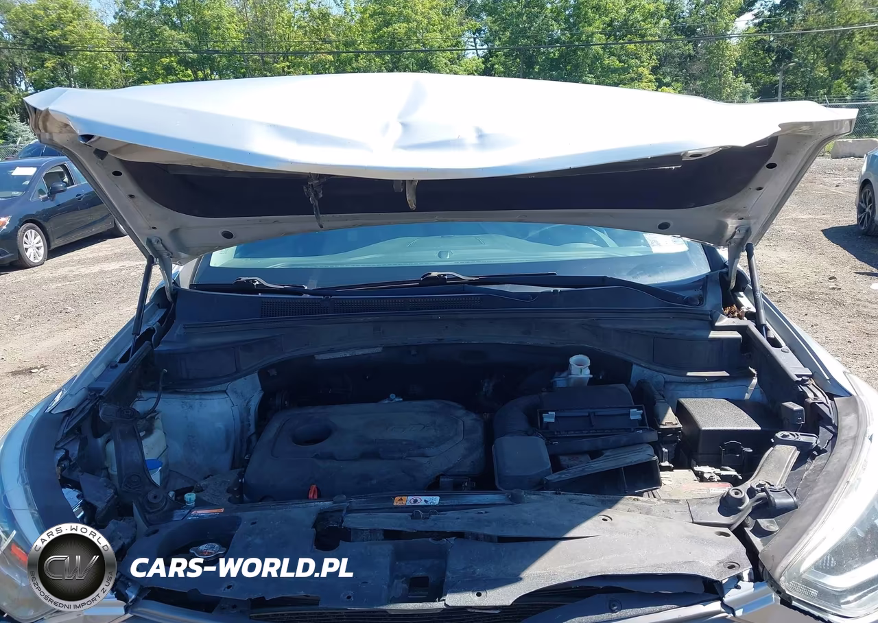 2017 Hyundai Santa Fe Sport 2.4L VIN:5XYZTDLB9HG396745 - 10