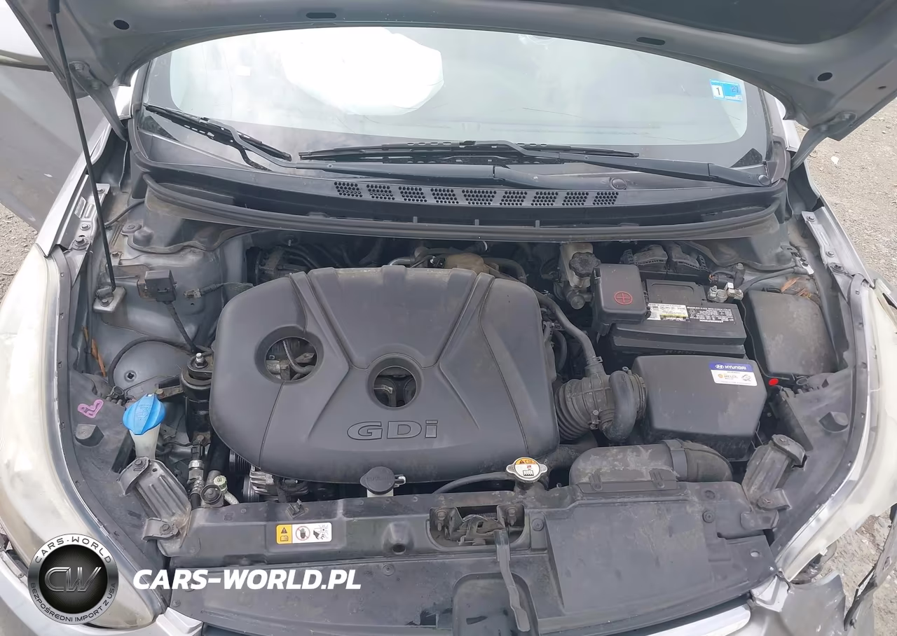 2014 Hyundai Elantra Sport VIN:KMHDH4AH5EU105988 - 10