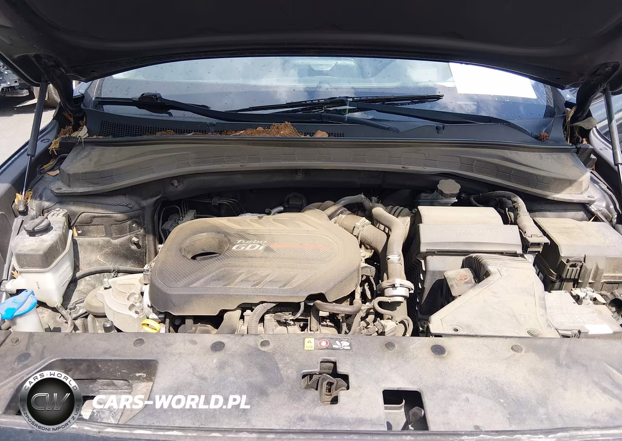 2020 Hyundai Santa Fe Limited 2.0T VIN:5NMS53AA4LH208924 - 10
