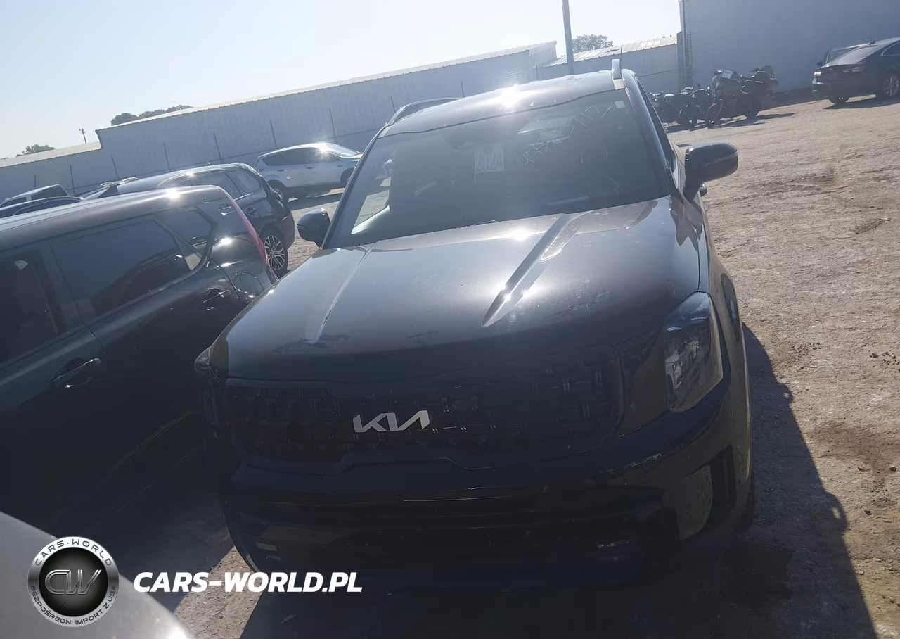 2024 Kia Telluride Sx Prestige X-Line VIN:5XYP5DGC3RG436663 - 12