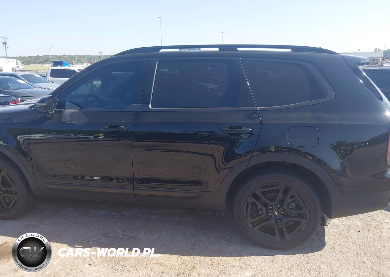 2024 Kia Telluride Sx Prestige X-Line VIN:5XYP5DGC3RG436663 - 14