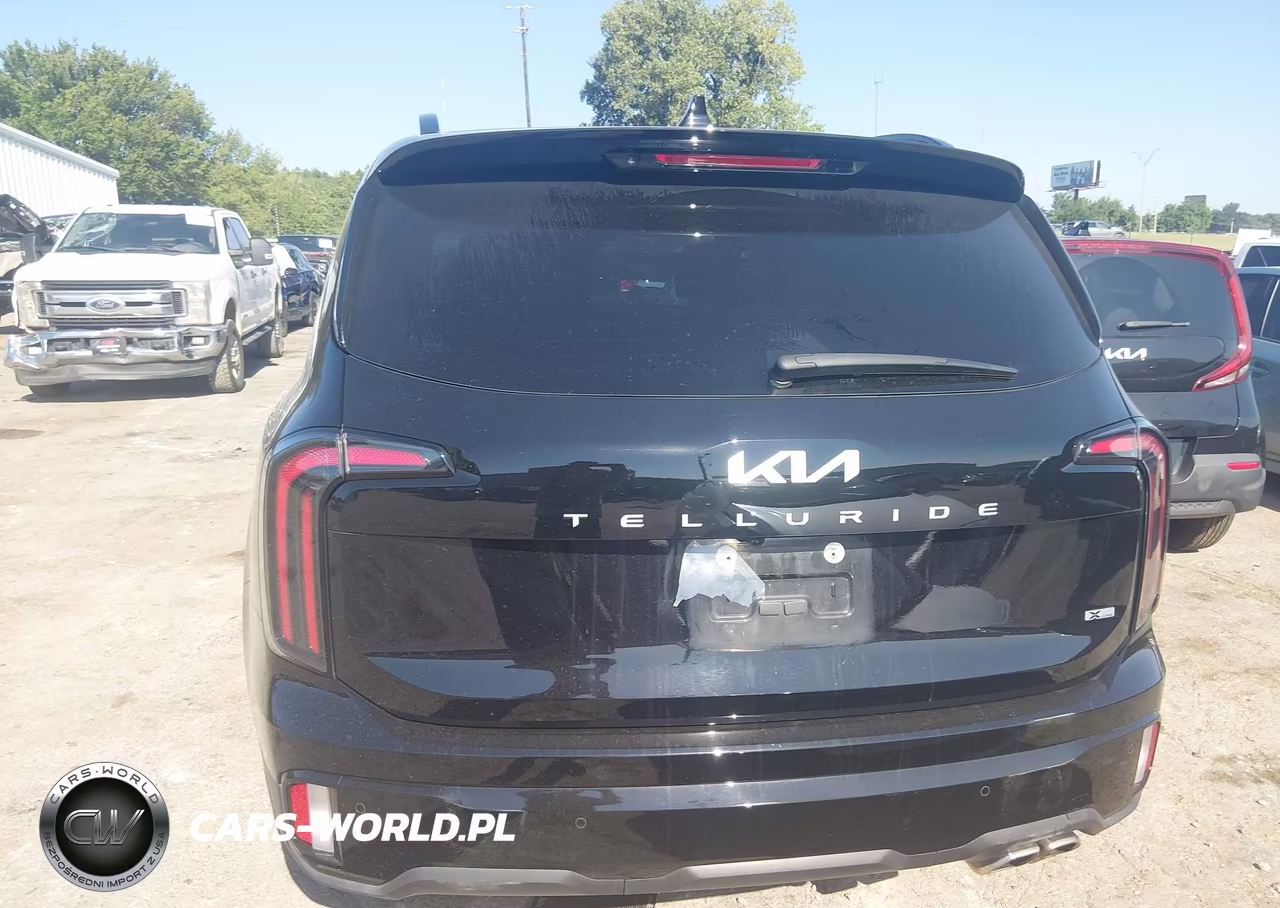 2024 Kia Telluride Sx Prestige X-Line VIN:5XYP5DGC3RG436663 - 16