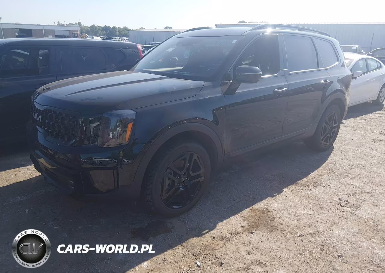 2024 Kia Telluride Sx Prestige X-Line VIN:5XYP5DGC3RG436663 - 2