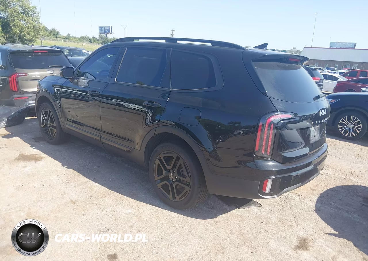 2024 Kia Telluride Sx Prestige X-Line VIN:5XYP5DGC3RG436663 - 3