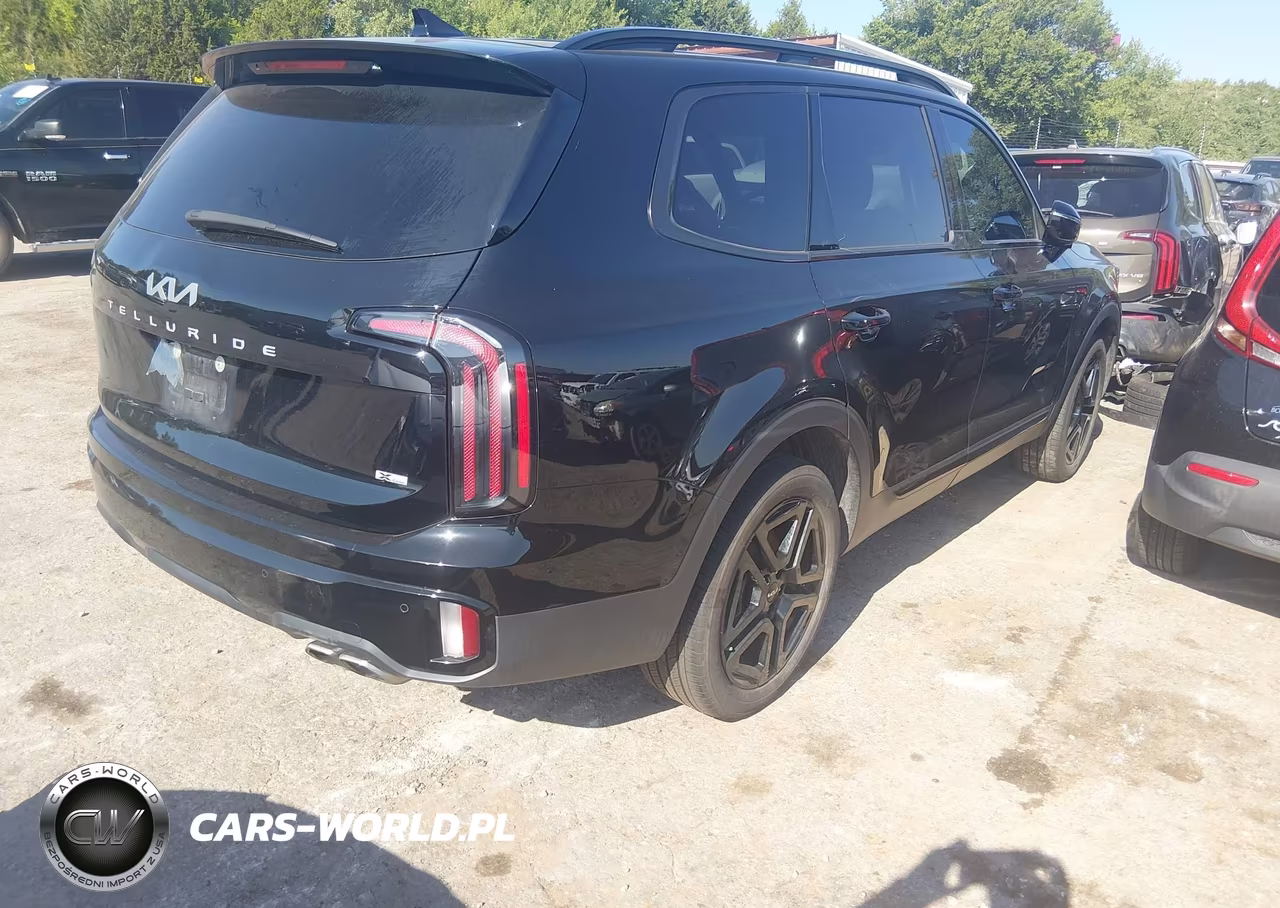 2024 Kia Telluride Sx Prestige X-Line VIN:5XYP5DGC3RG436663 - 4