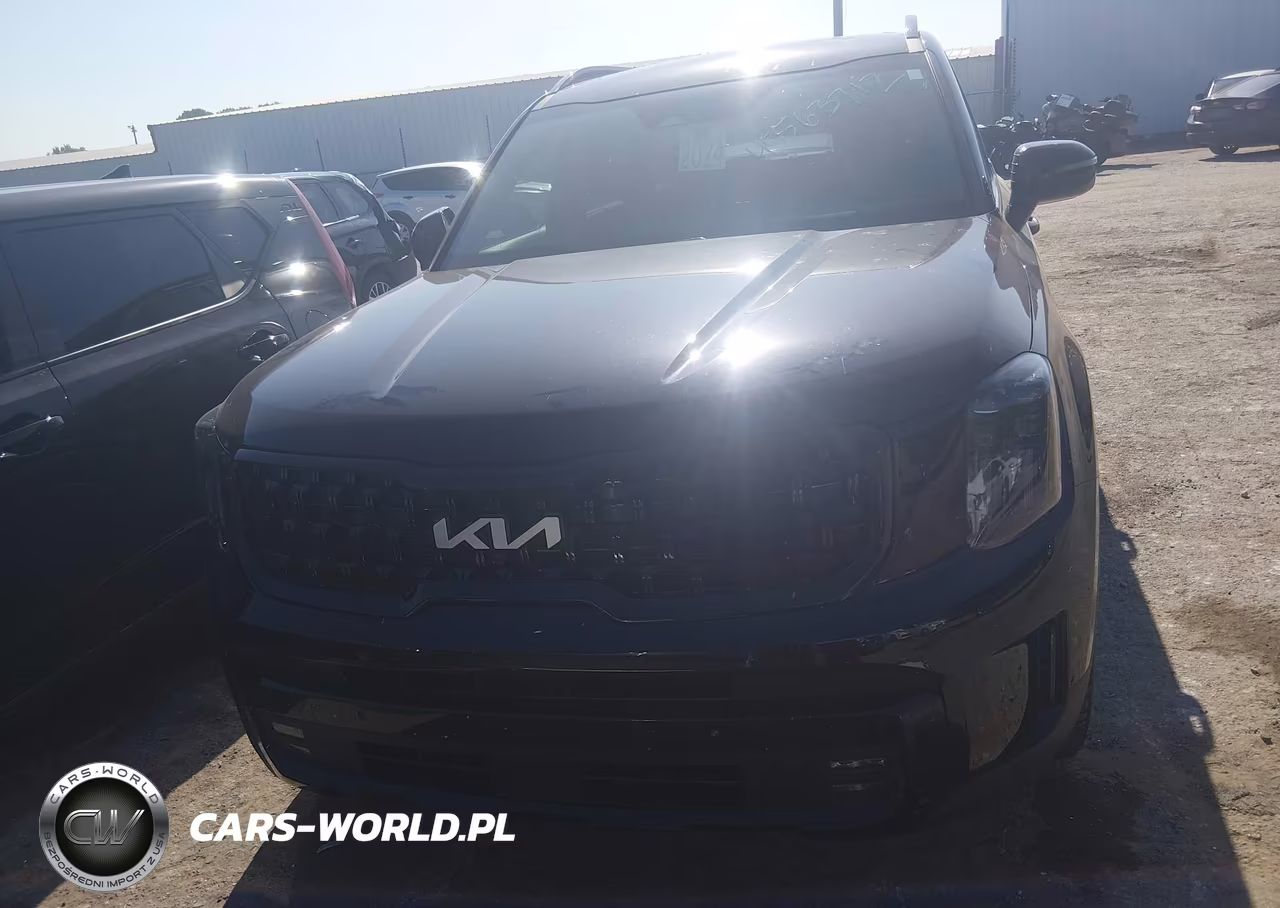 2024 Kia Telluride Sx Prestige X-Line VIN:5XYP5DGC3RG436663 - 6