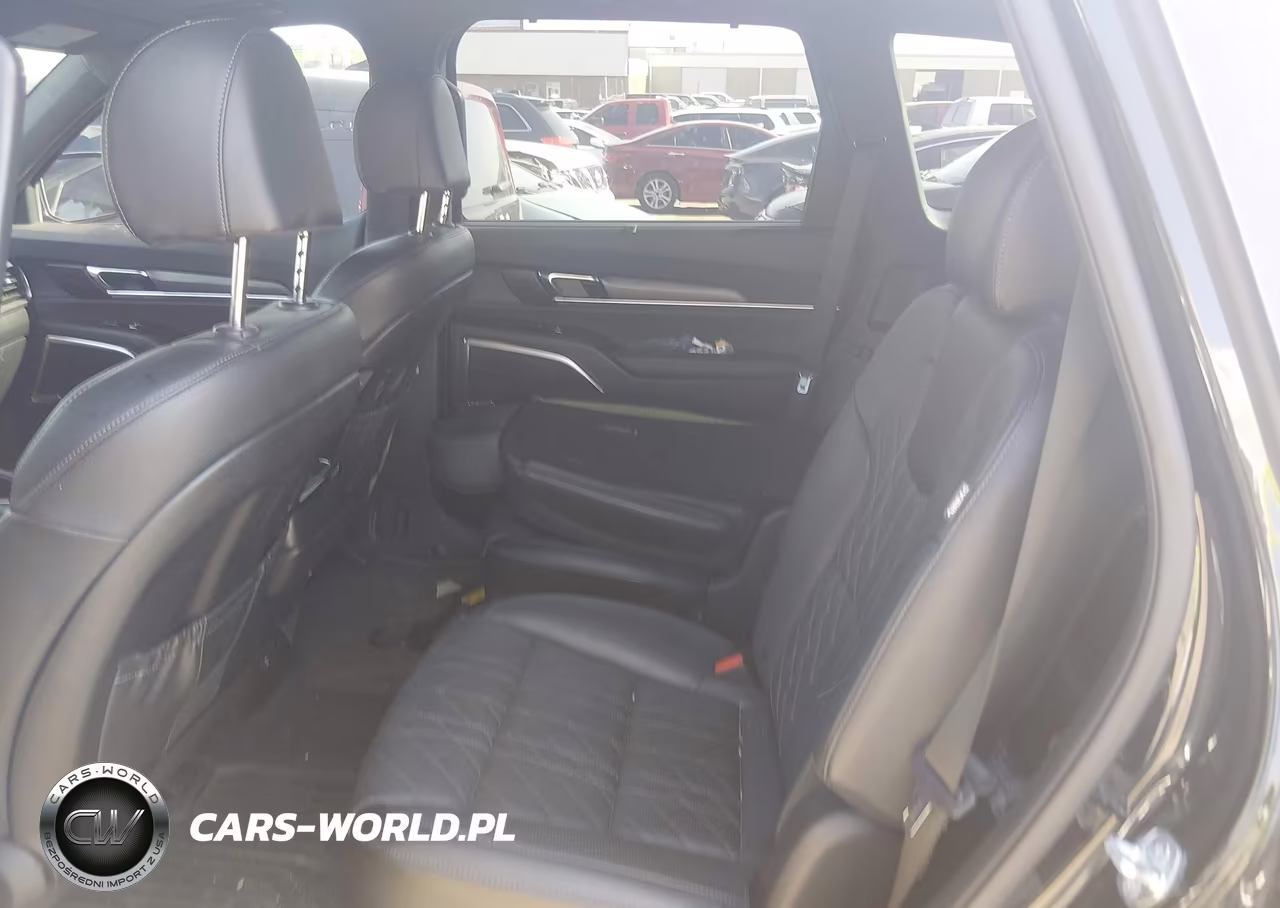 2024 Kia Telluride Sx Prestige X-Line VIN:5XYP5DGC3RG436663 - 8