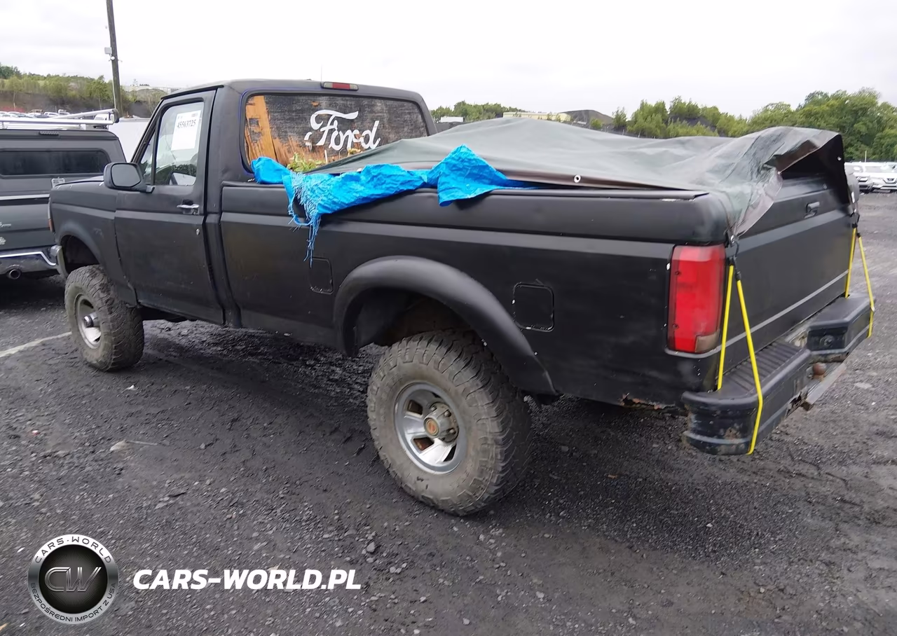 1995 Ford F150 VIN:1FTEF14Y3SNA23112 - 3