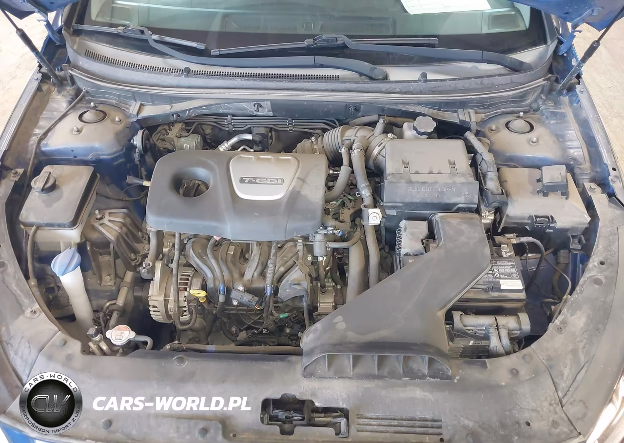 2019 Hyundai Sonata Eco VIN:5NPE24AAXKH801815 - 10