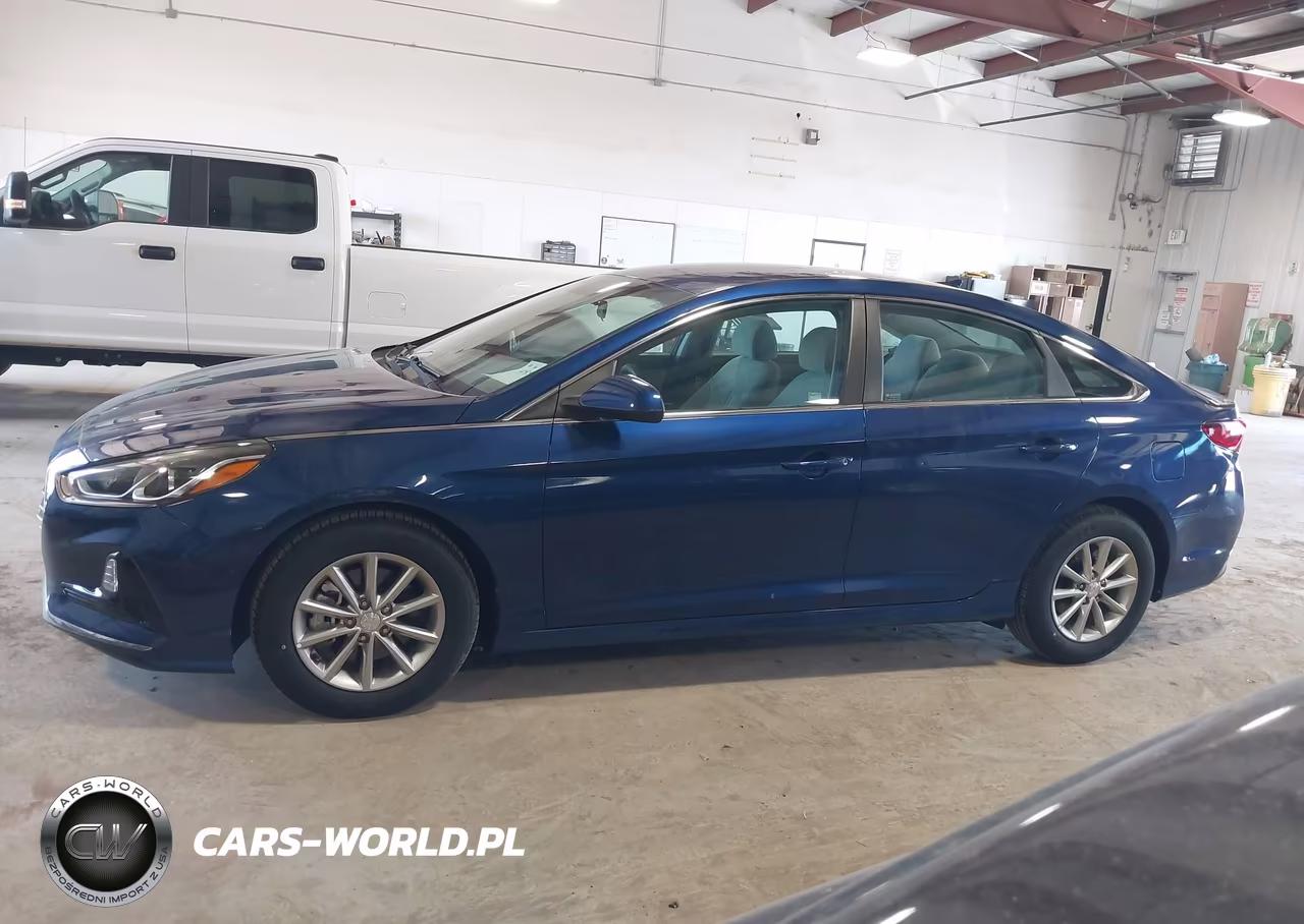 2019 Hyundai Sonata Eco VIN:5NPE24AAXKH801815 - 20