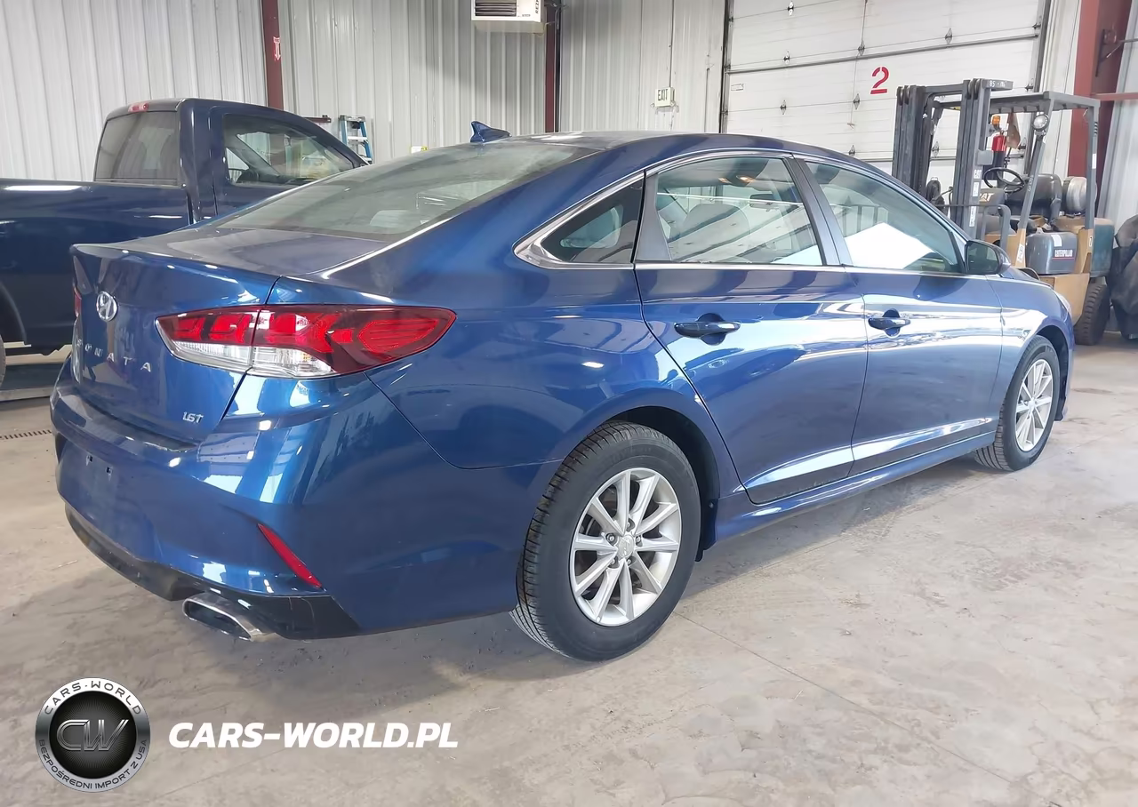 2019 Hyundai Sonata Eco VIN:5NPE24AAXKH801815 - 4