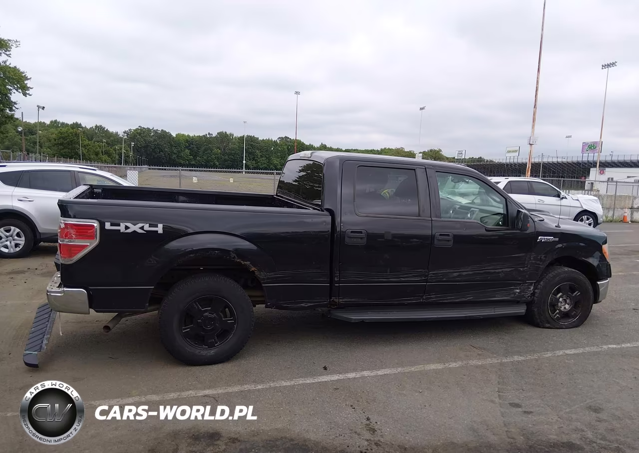 2010 Ford F-150 Fx4-Harley-Davidson-King Ranch-Lariat-Platinum-Xl-Xlt VIN:1FTFW1EV2AFB29651 - 13