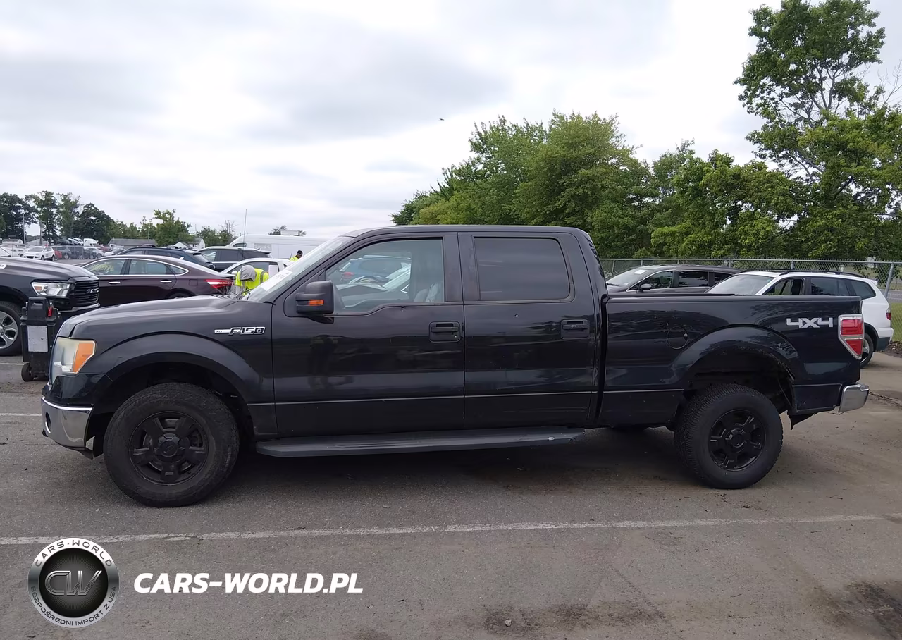 2010 Ford F-150 Fx4-Harley-Davidson-King Ranch-Lariat-Platinum-Xl-Xlt VIN:1FTFW1EV2AFB29651 - 14