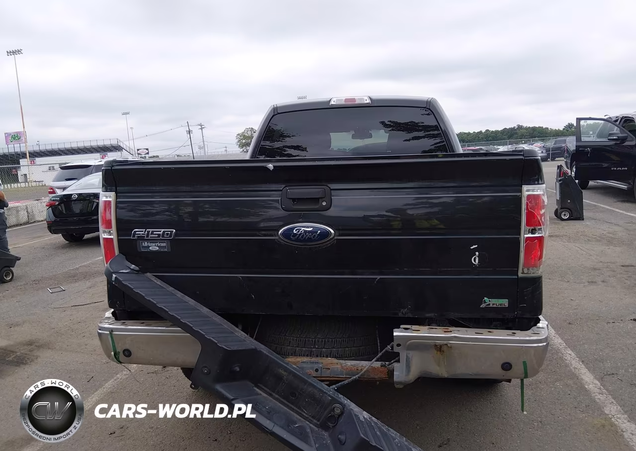 2010 Ford F-150 Fx4-Harley-Davidson-King Ranch-Lariat-Platinum-Xl-Xlt VIN:1FTFW1EV2AFB29651 - 16