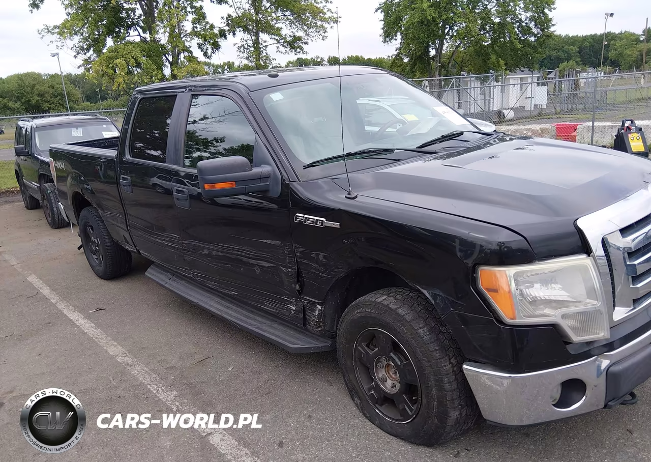 2010 Ford F-150 Fx4-Harley-Davidson-King Ranch-Lariat-Platinum-Xl-Xlt VIN:1FTFW1EV2AFB29651 - 17