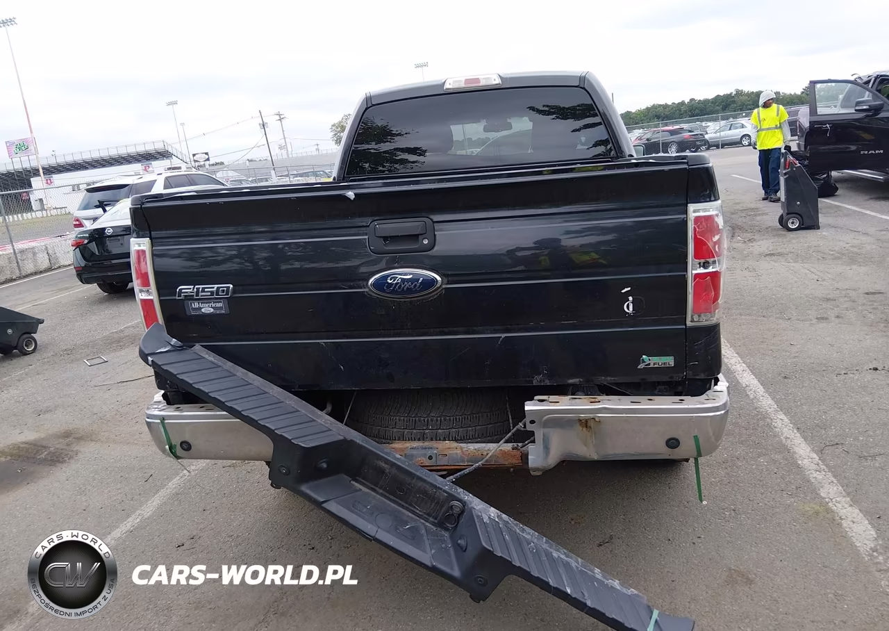2010 Ford F-150 Fx4-Harley-Davidson-King Ranch-Lariat-Platinum-Xl-Xlt VIN:1FTFW1EV2AFB29651 - 19