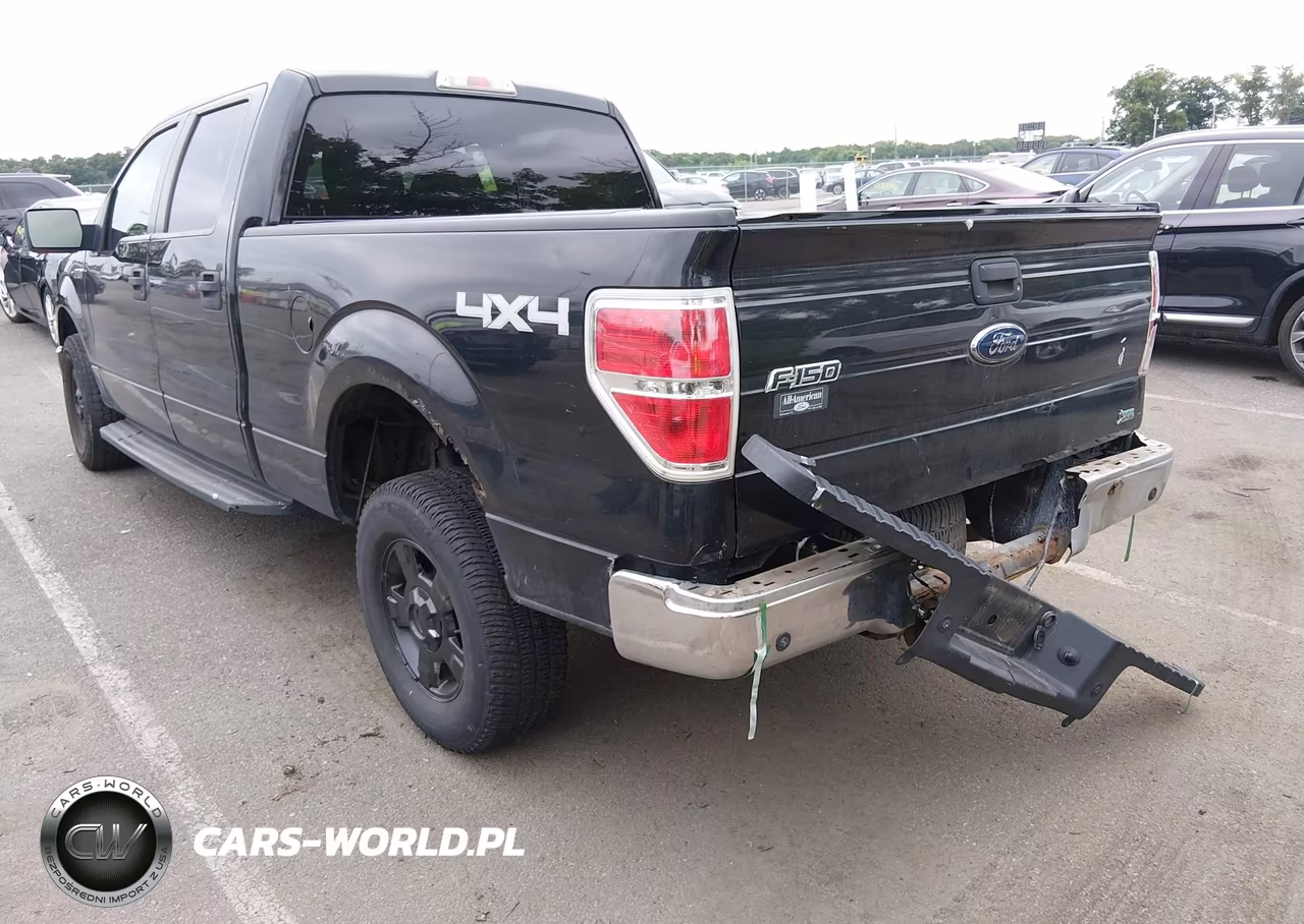 2010 Ford F-150 Fx4-Harley-Davidson-King Ranch-Lariat-Platinum-Xl-Xlt VIN:1FTFW1EV2AFB29651 - 20