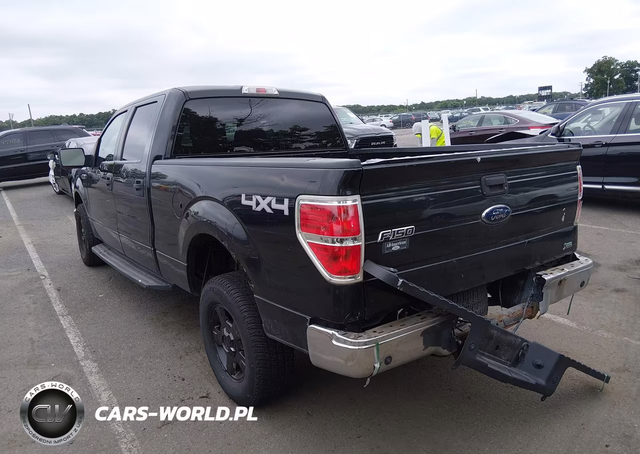 2010 Ford F-150 Fx4-Harley-Davidson-King Ranch-Lariat-Platinum-Xl-Xlt VIN:1FTFW1EV2AFB29651 - 3