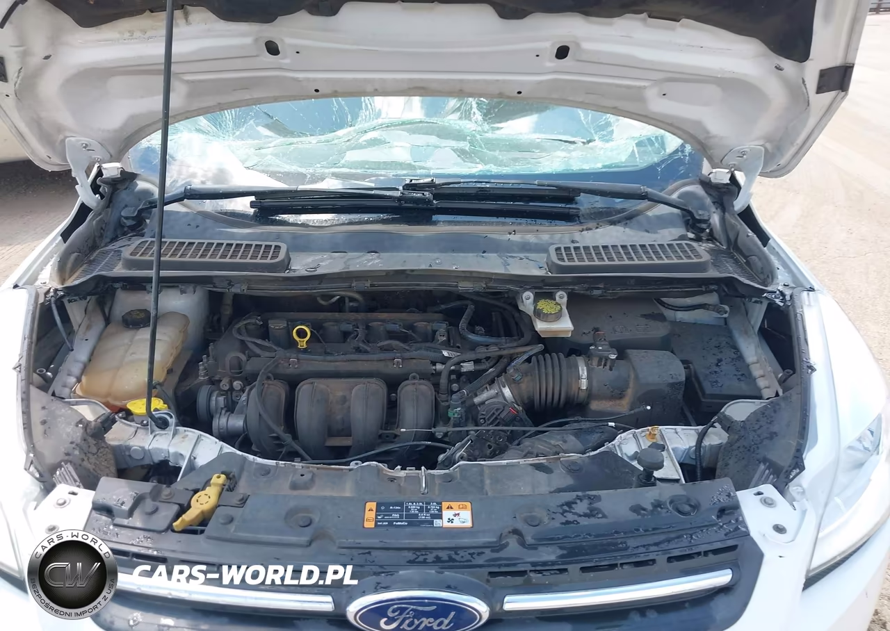 2016 Ford Escape Se VIN:1FMCU0G74GUC28991 - 10