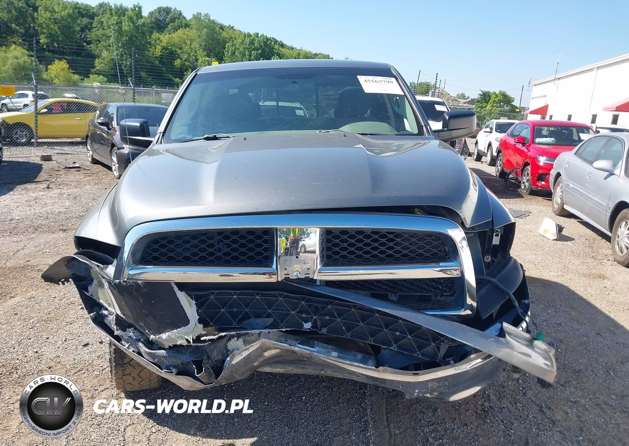 2010 Dodge Ram 1500 Slt-Sport-Trx VIN:1D7RV1GTXAS216030 - 13