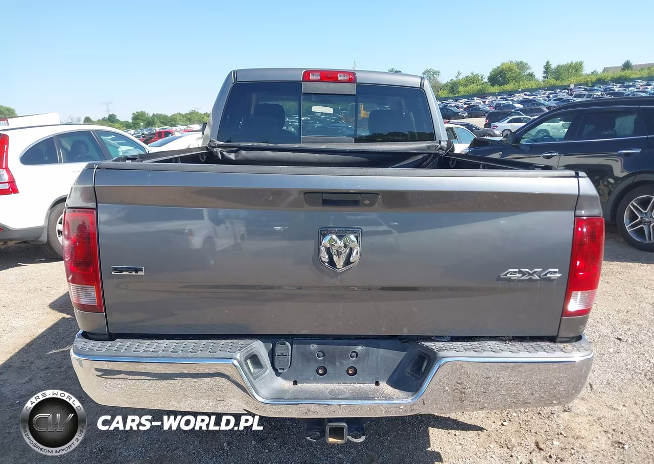 2010 Dodge Ram 1500 Slt-Sport-Trx VIN:1D7RV1GTXAS216030 - 17