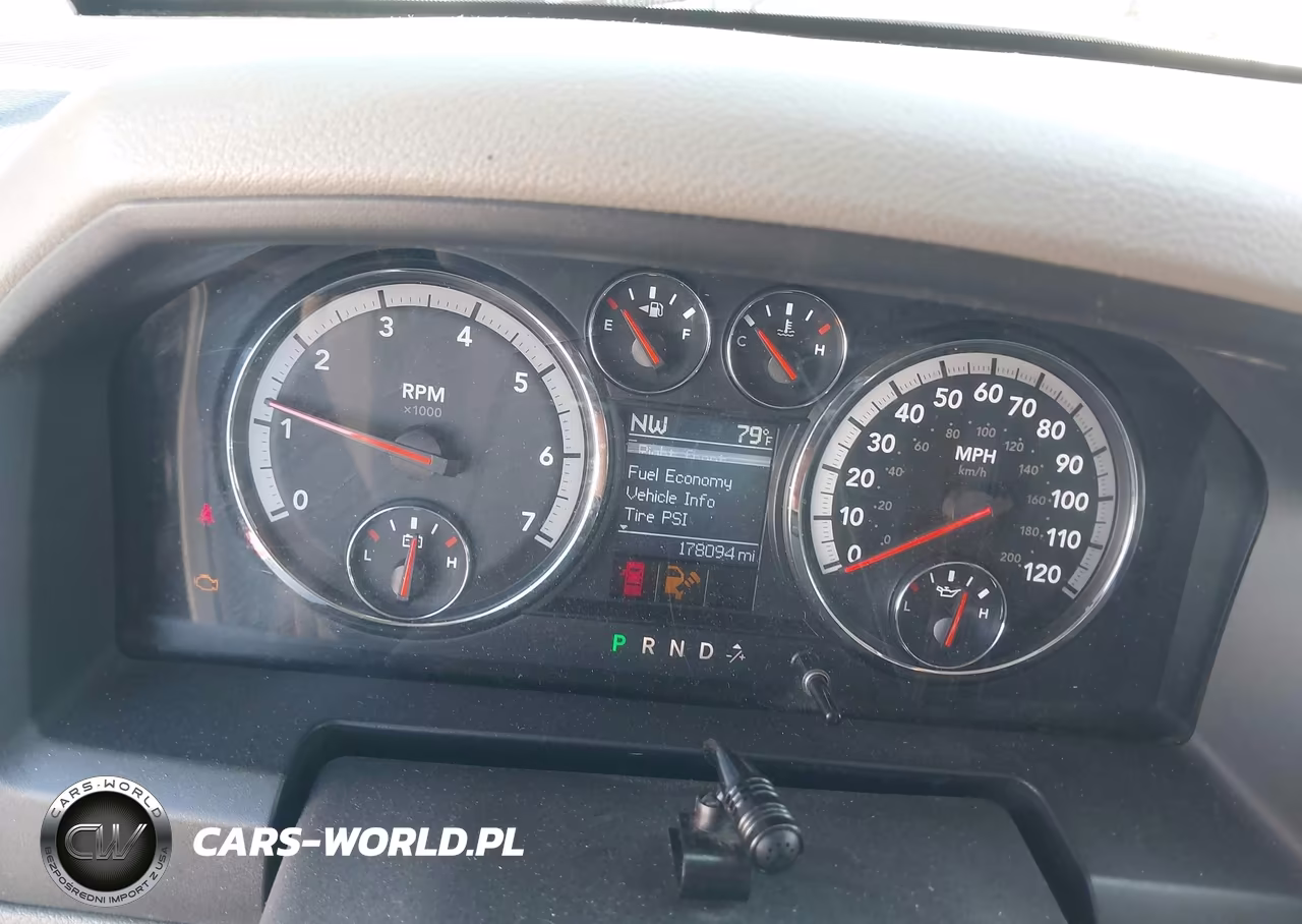 2010 Dodge Ram 1500 Slt-Sport-Trx VIN:1D7RV1GTXAS216030 - 7