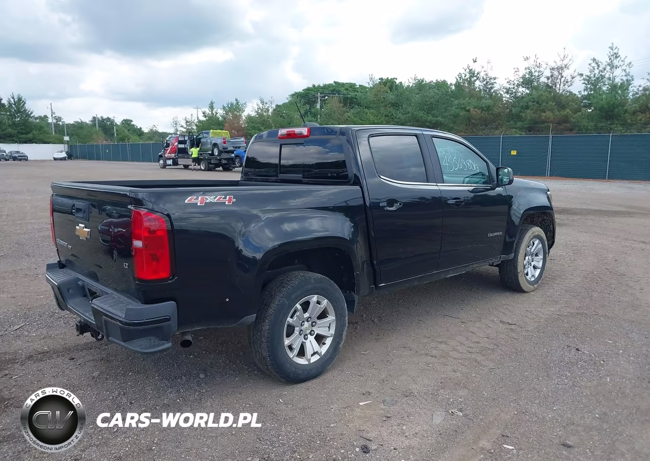 2019 Chevrolet Colorado Lt VIN:1GCGTCEN4K1218967 - 4