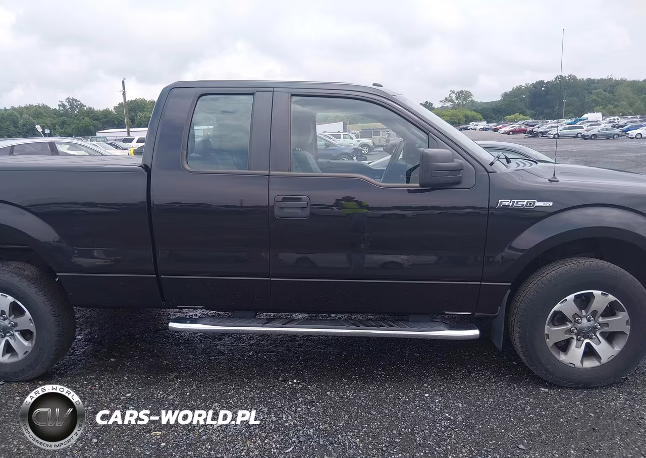 2014 Ford F-150 Stx VIN:1FTFX1EF4EKD38778 - 13