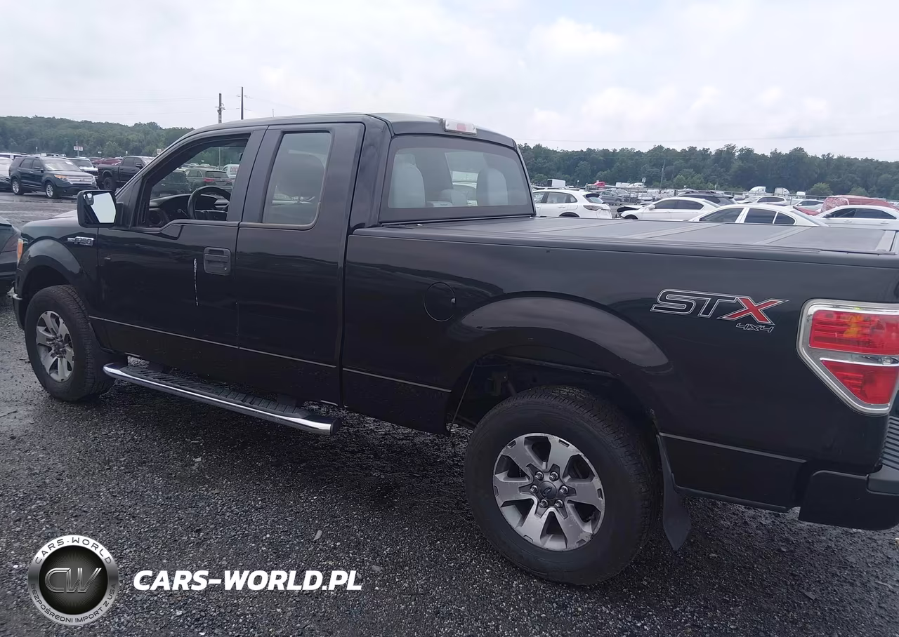 2014 Ford F-150 Stx VIN:1FTFX1EF4EKD38778 - 3
