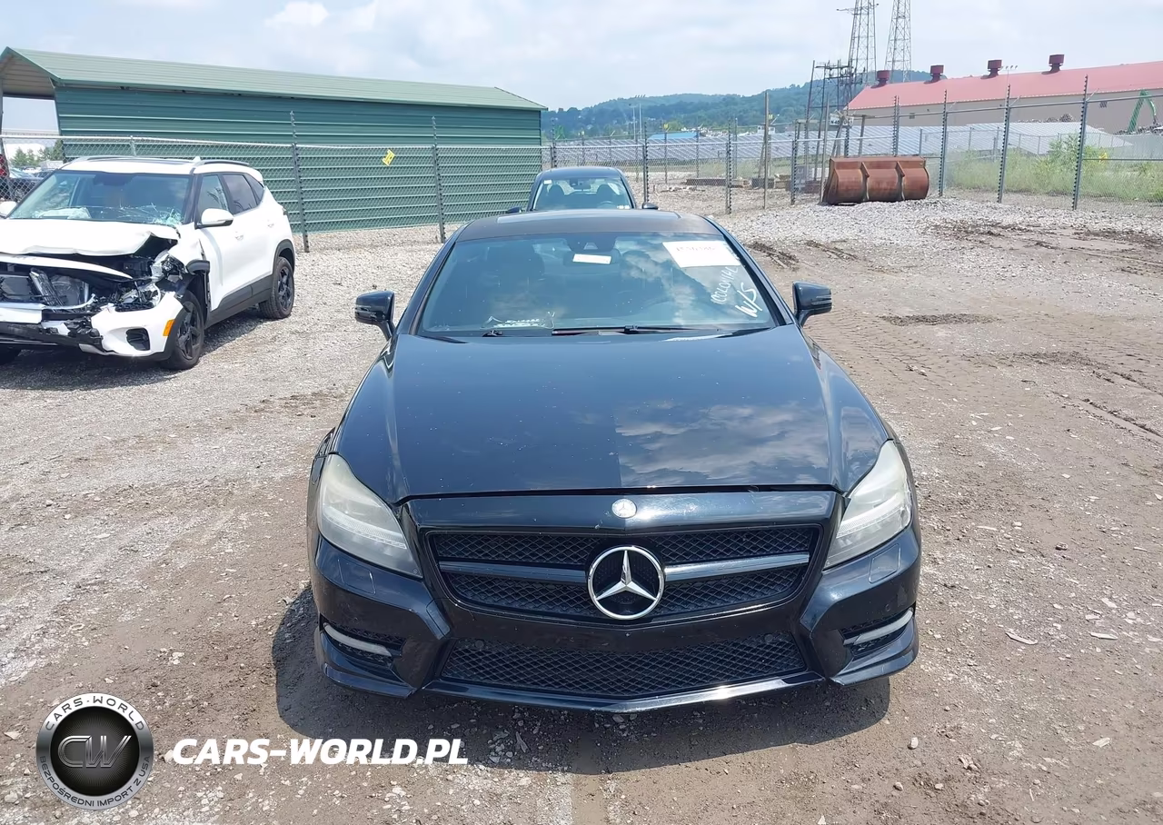 2012 Mercedes-Benz Cls 550 VIN:WDDLJ7DB2CA009351 - 13