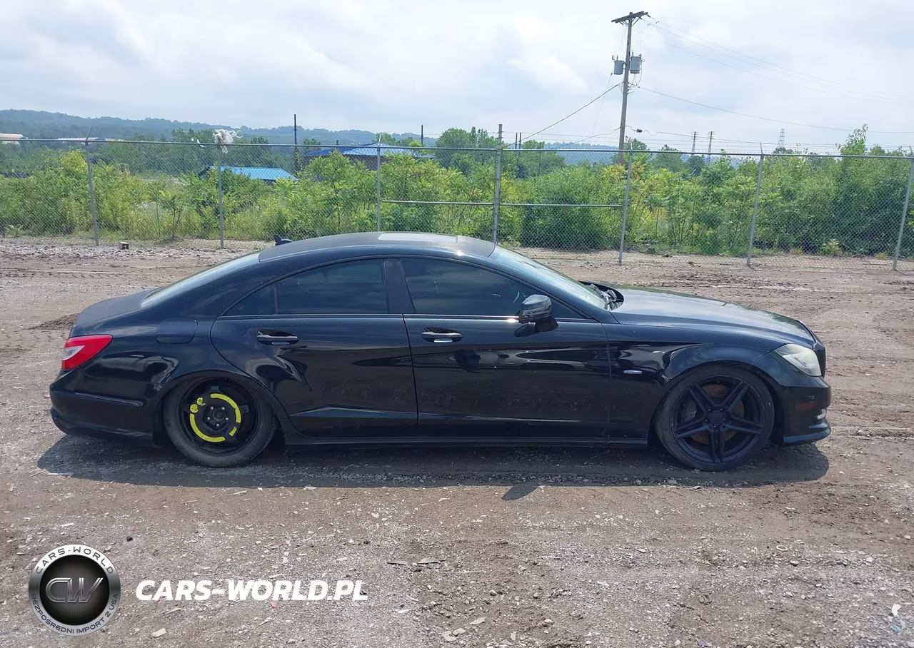 2012 Mercedes-Benz Cls 550 VIN:WDDLJ7DB2CA009351 - 14