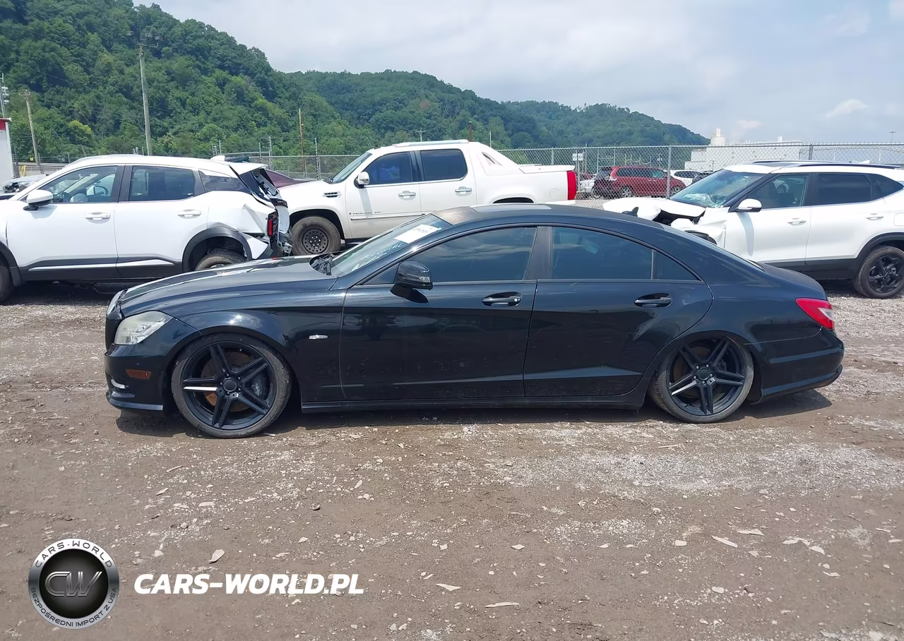 2012 Mercedes-Benz Cls 550 VIN:WDDLJ7DB2CA009351 - 15