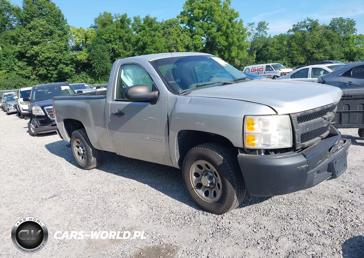 2010 Chevrolet Silverado 1500 Work Truck