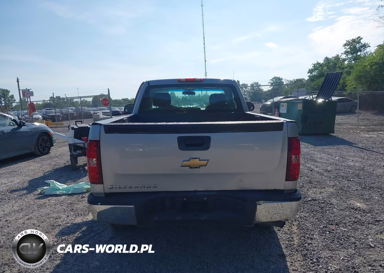 2010 Chevrolet Silverado 1500 Work Truck VIN:1GCPCPEX2AZ246937 - 17