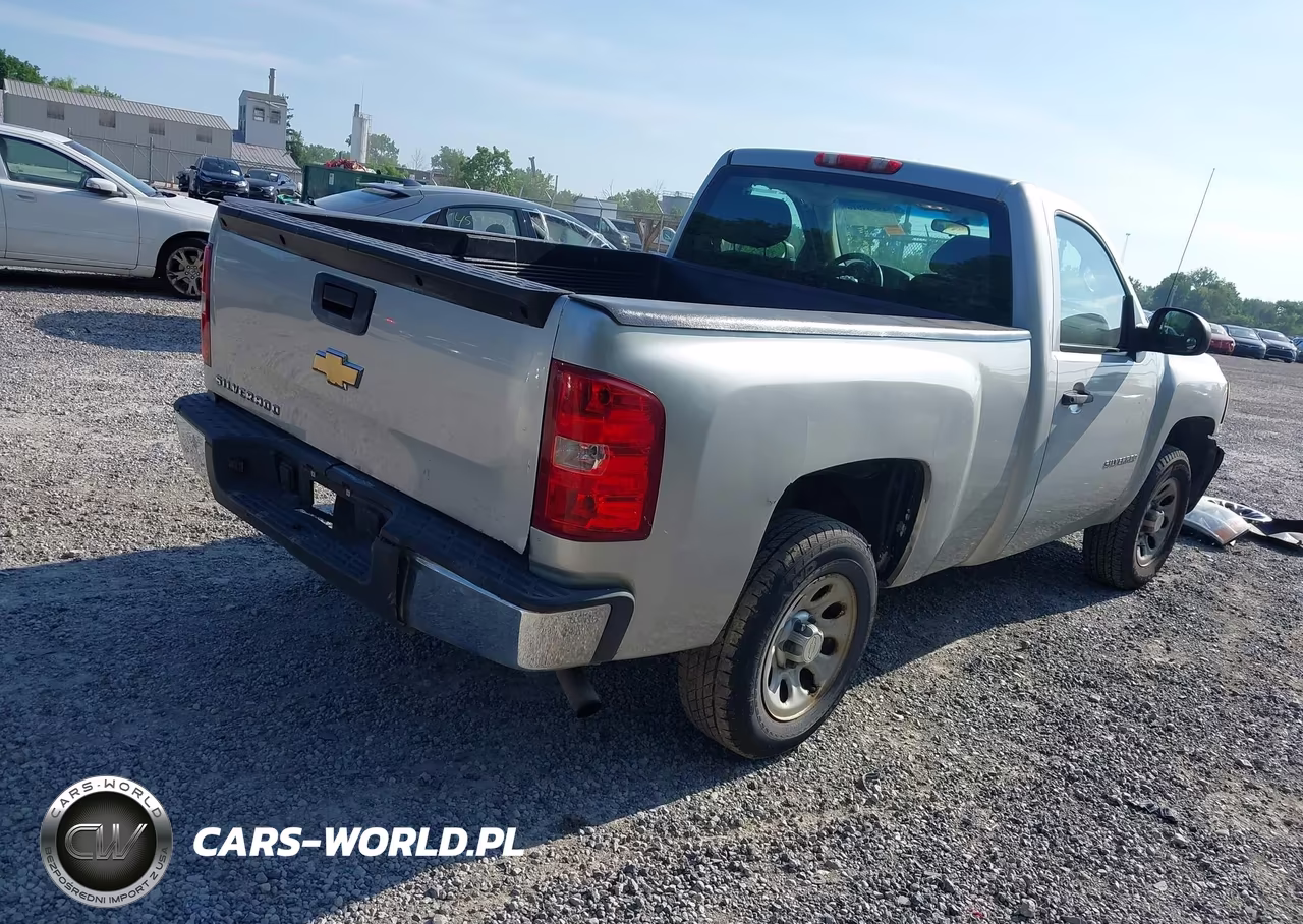 2010 Chevrolet Silverado 1500 Work Truck VIN:1GCPCPEX2AZ246937 - 4