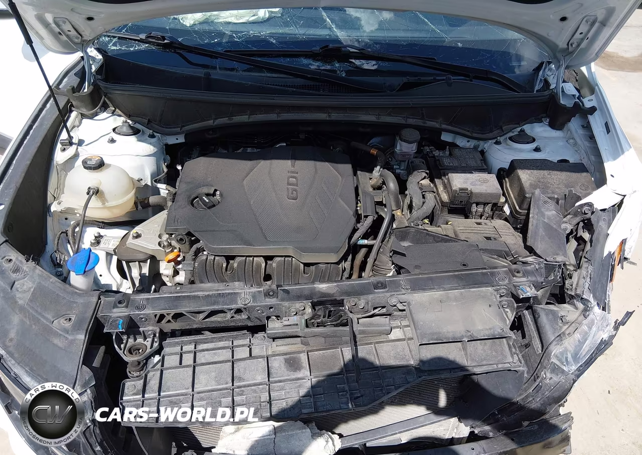2024 Hyundai Tucson Sel VIN:5NMJBCDE2RH381594 - 10